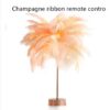 Champagne ribbon remote contro