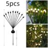 5pcs Warm light